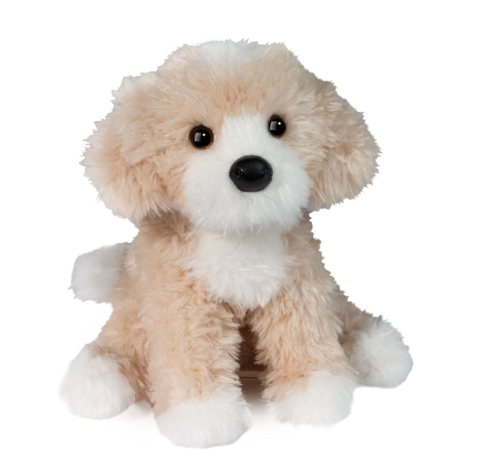 Darcy Goldendoodle