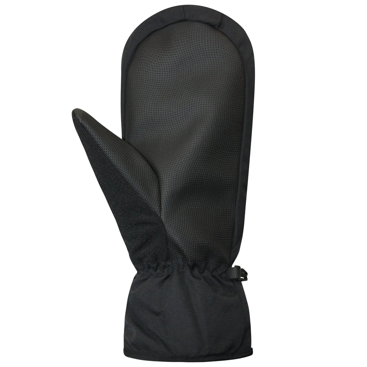 Auclair Men's Horizon Ski Mittens