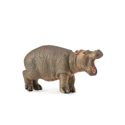 Hippopotamus Calf