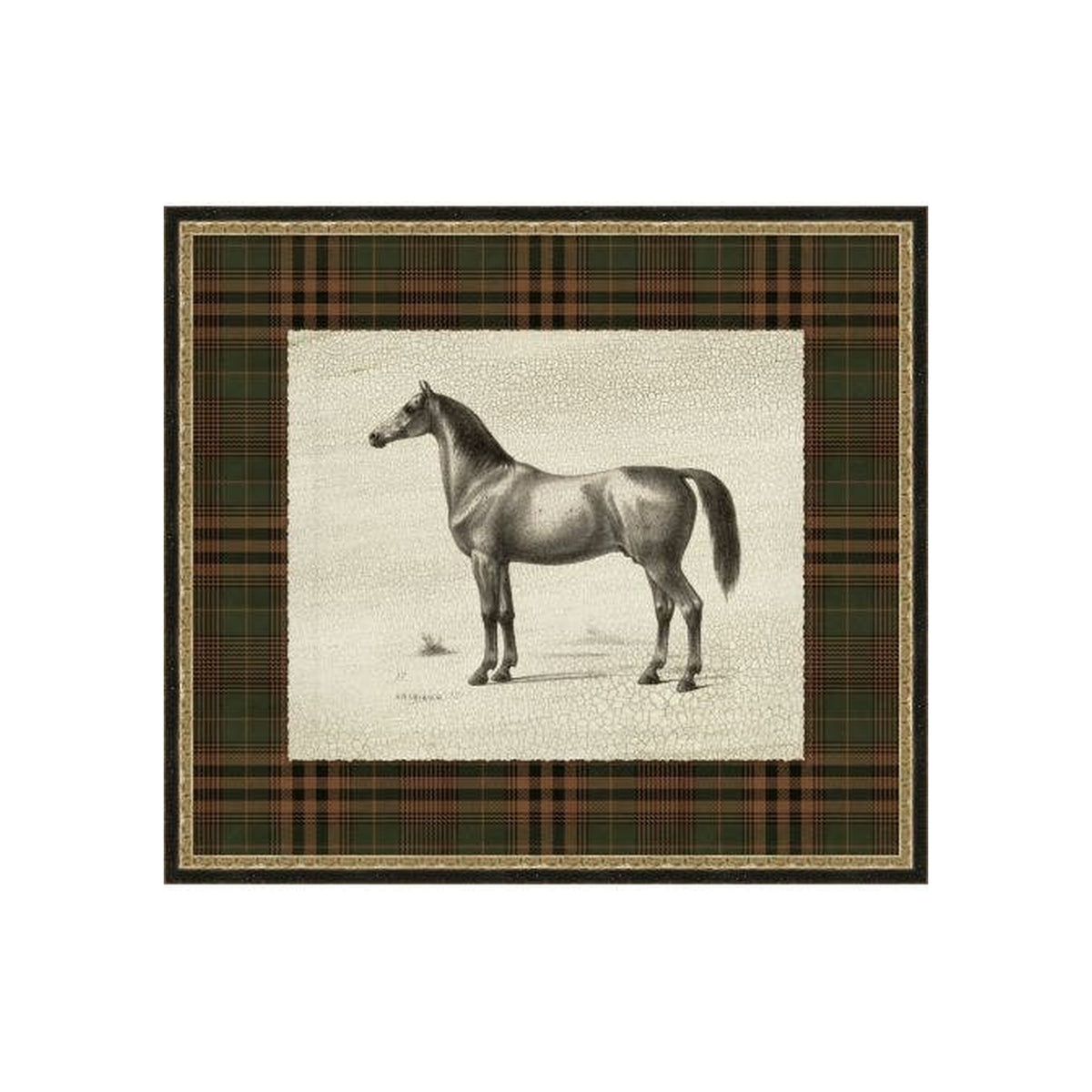 "Patterned Dignity" Framed Art Print