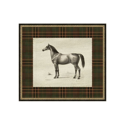 "Patterned Dignity" Framed Art Print