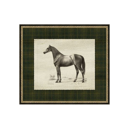 "Patterned Dignity" Framed Art Print