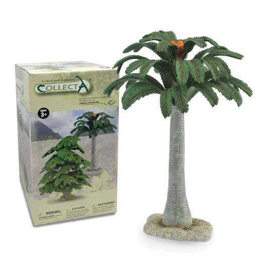 12" Cycad Tree - Tree & Plant Collection