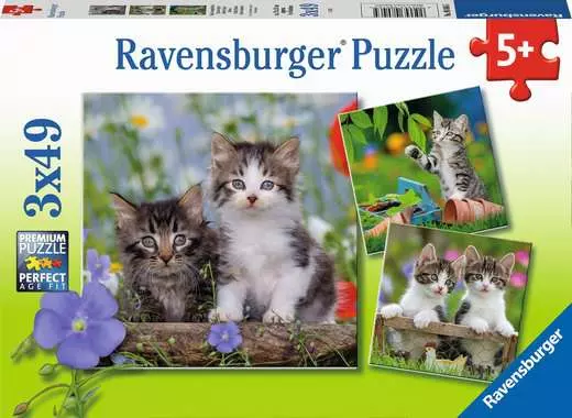 Cuddly Kittens Puzzle