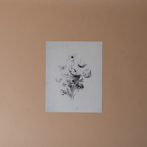 Bouquet Sketch Vintage Art Print