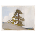 "Cliffside Pine" Framed Art Print